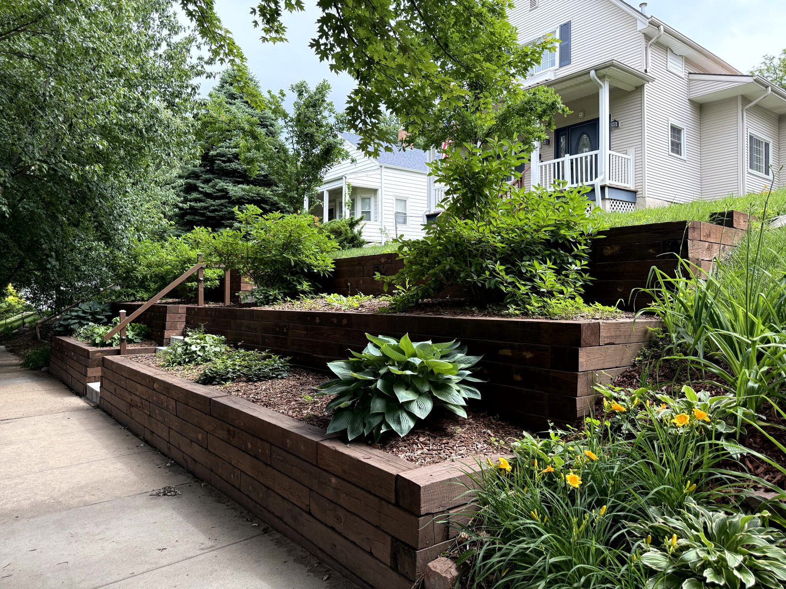 Terraced timber walls with hostas